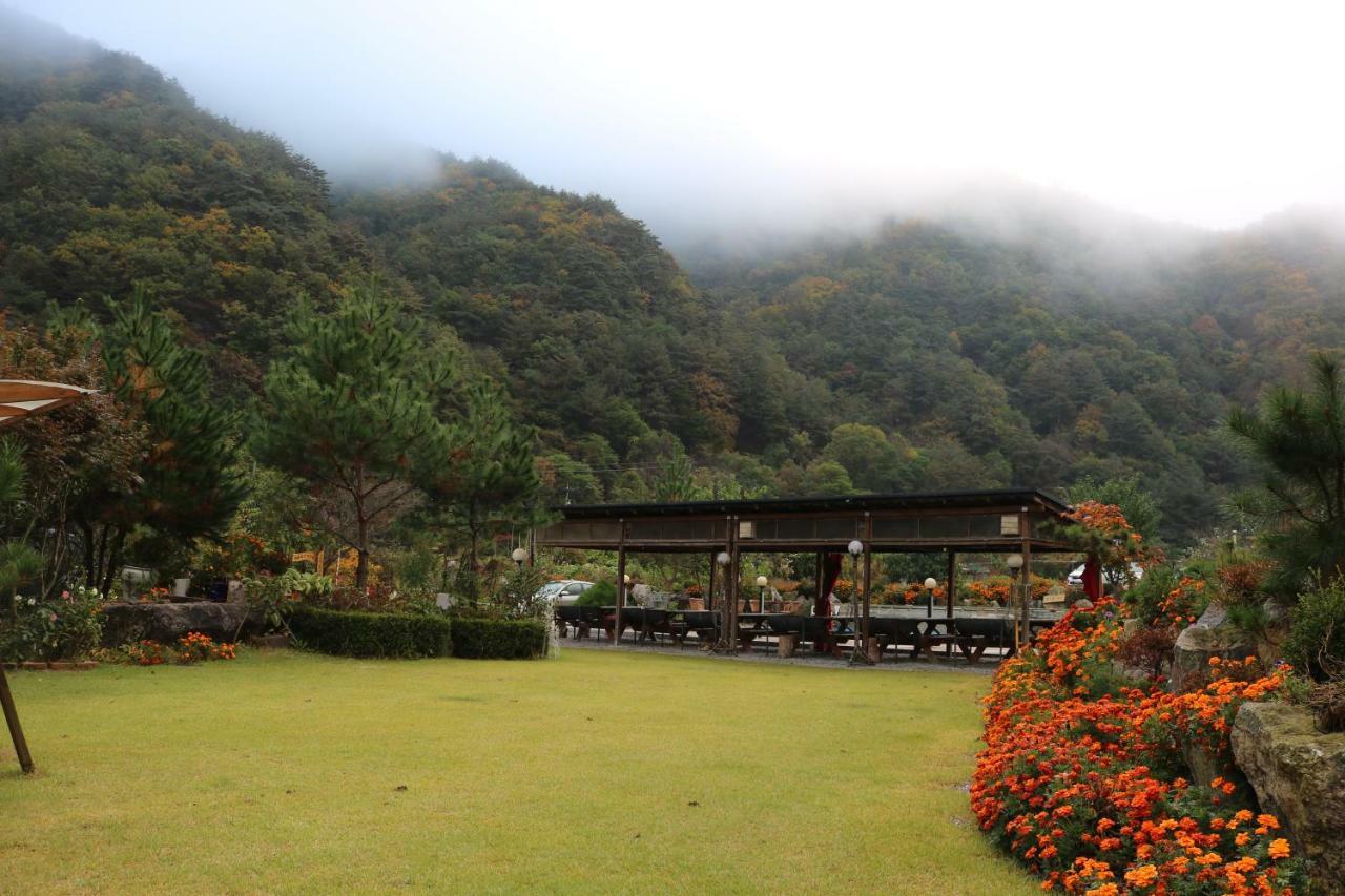 Moon On The Cloud Villa Yeongwol Eksteriør billede